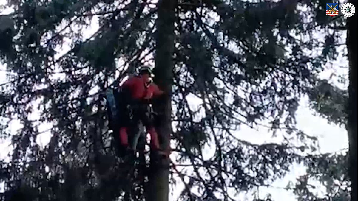 Paraglidista na Karlovarsku visel na stromě 25 metrů nad zemí. Musel pro něj vrtulník